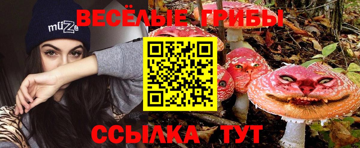 Галлюциногенные грибы мицелий  Вход с VPN  Шебекино 
